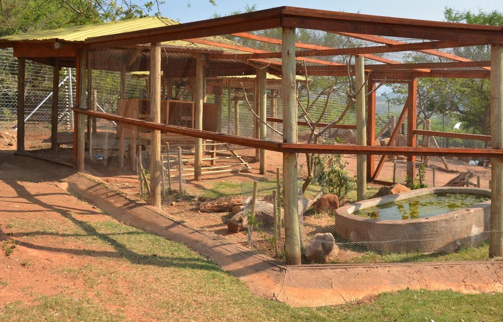 eBundu Lodge White River Extérieur photo